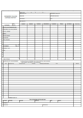 Expense Report Format