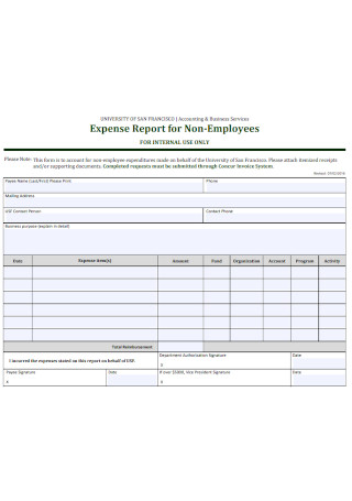 Expense Report for Non Employees