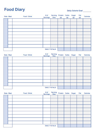 Food and Drink Diary Template
