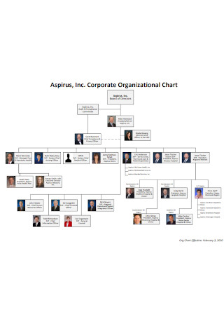 Formal Corporate Organizational Chart