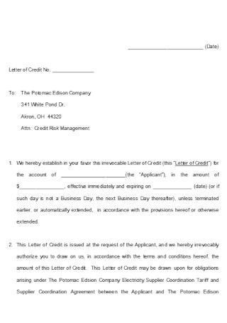 Formal Demand Letter of Credit Template