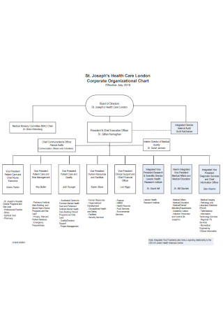 Health Care Corporate Organizational Chart