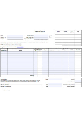 Professional Expense Report Template
