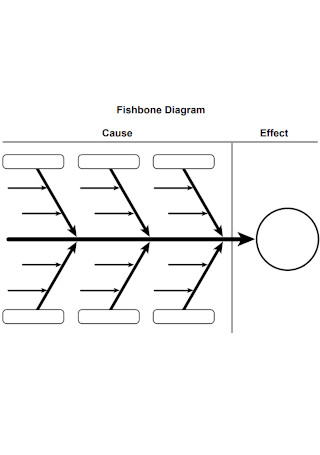 Professional Fishbone Diagram Example