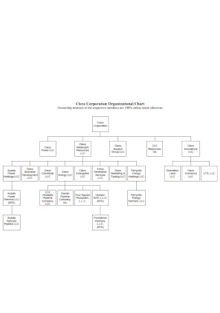 Sample Corporation Organizational Chart Template