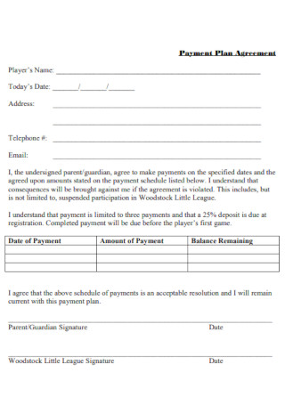 Simple Payment Plan Agreement