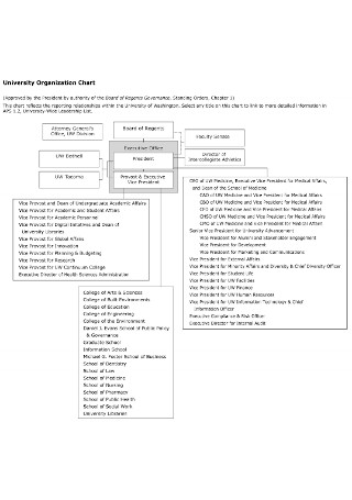 University Detailed Organizational Chart