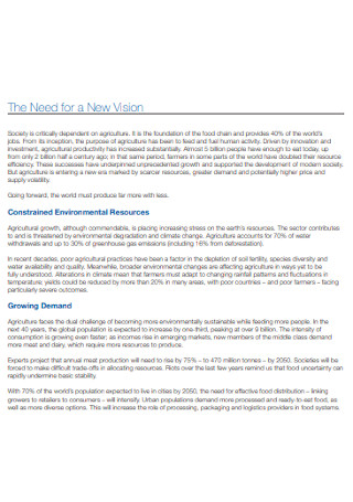 Vision Roadmap for Stakeholder Template