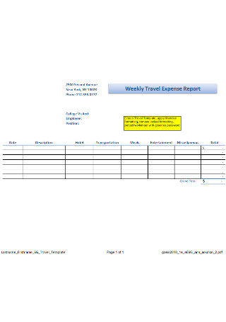 Weekly Travel Expense Report