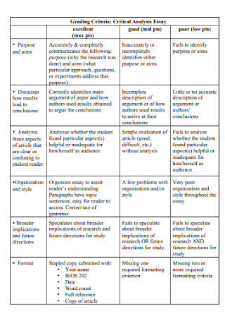 critical analysis worksheet