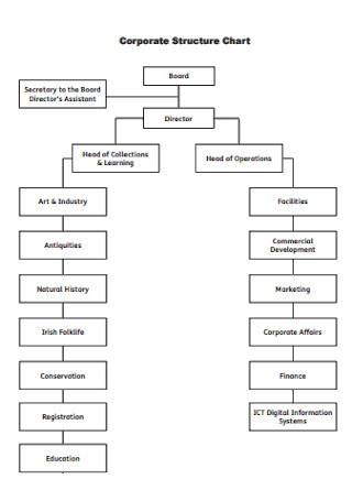 Corporate Board Structure Chart