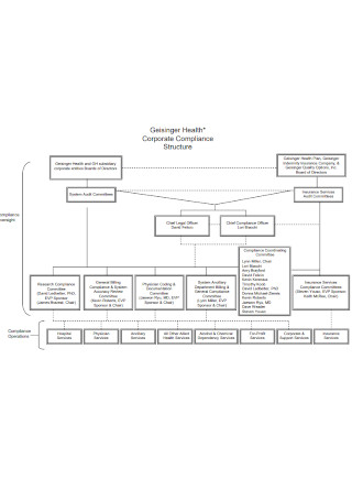 Corporate Compliance Structure Chart