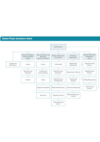 Corporate Management Team Structure Chart