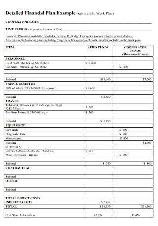 Detailed Financial Plan Example