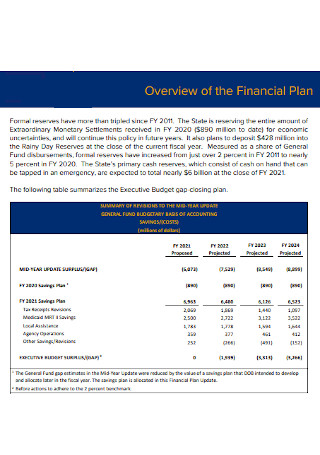 Executive Budget Financial Plan