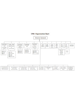 Firm Director Organization Chart