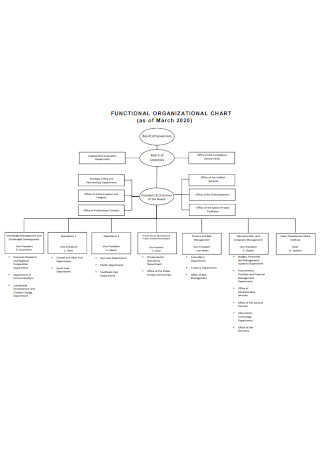 Firm Functional Organizational Chart