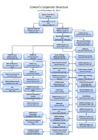 Formal Corporate Structure Chart