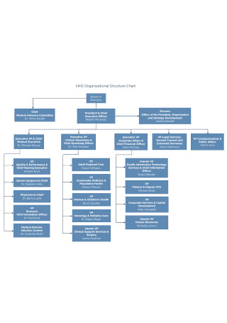 Health Organizational Structure Chart