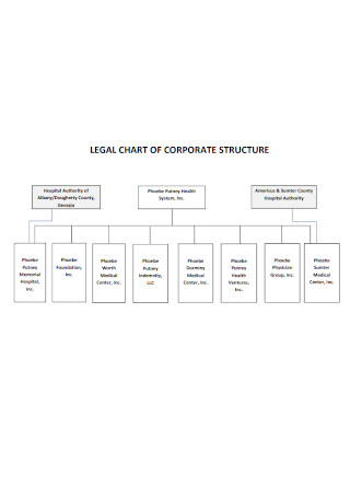 Legal Corporate Structure Chart