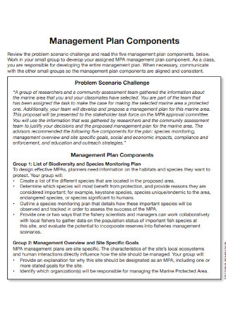 Management Plan Components Template
