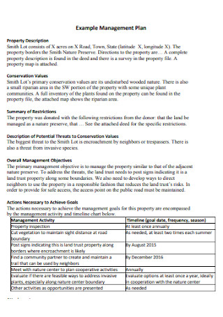 management plan in business plan template