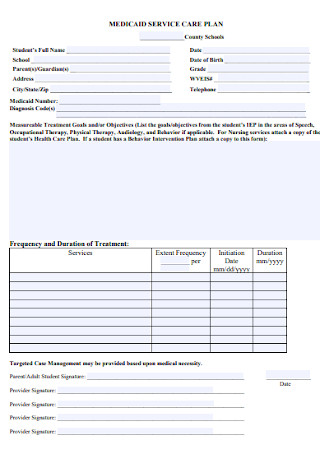 Medicaid Service Care Plan Template