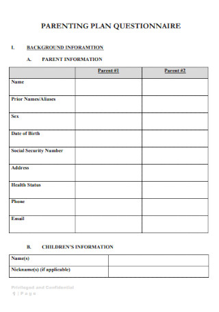 Parenting Plan Questionnaire