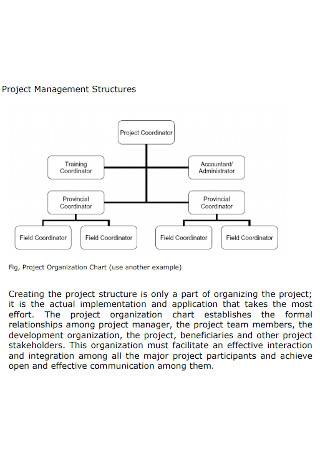 Project Management Structures Chart