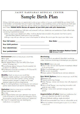 Sample Birth Plan Examples
