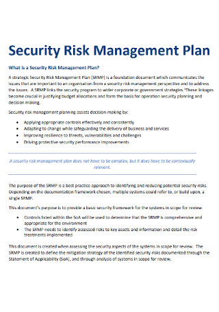 Security Risk Management Plan