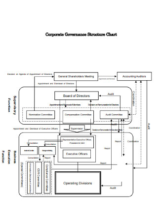 Simple Corporate Governance Structure Chart 