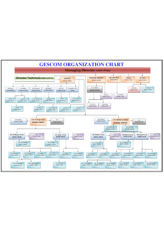 Simple Firm Organizational Chart
