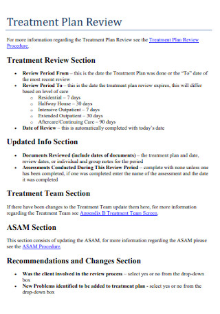 Treatment Plan Review