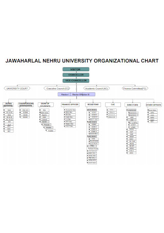 University Organizational Chart