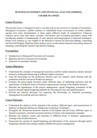 financial analysis project report sample