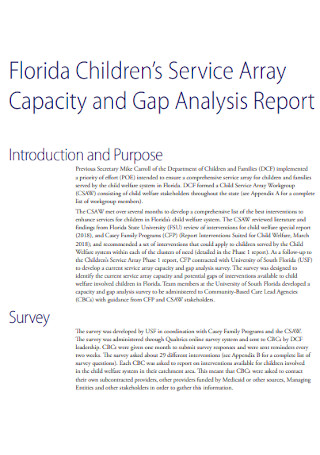 Capacity and Gap Analysis Report Template