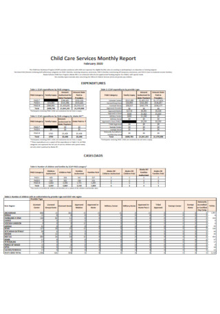 Child Care Services Monthly Report