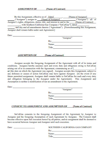 Company Assignment Agreement