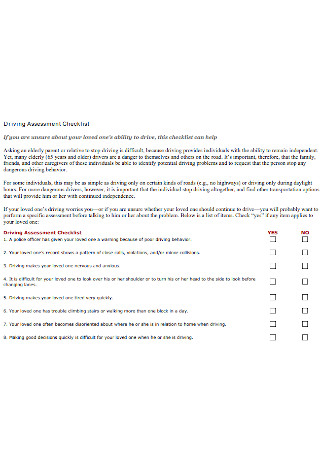 Driving Assessment Checklist Template