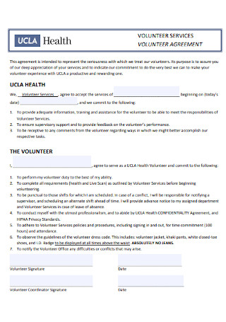 Health Volunteer Agreement Template