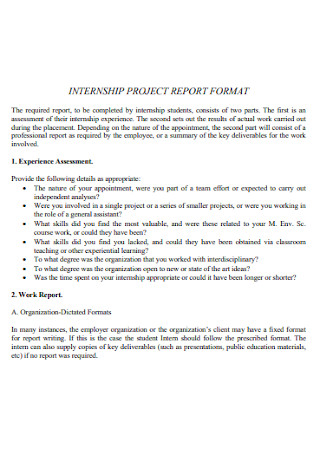 Internship Project Report Format