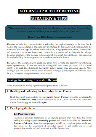 Internship Strategy Report