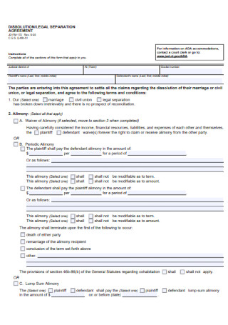 Legal Separatiion Agreement Template