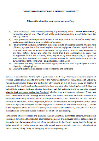Risk Indemnity Agreement Template