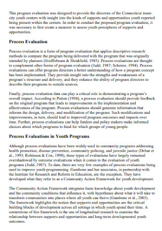 Sample Process Evaluation Report