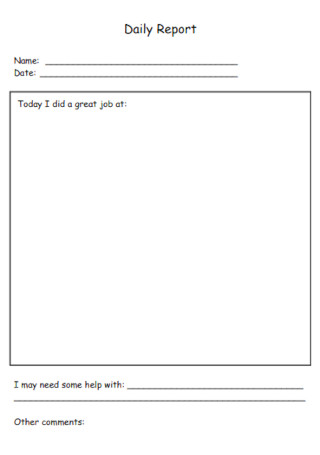 Standard Daily Report Template
