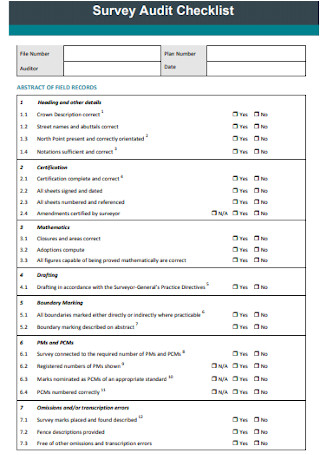 Survey Audit Checklist