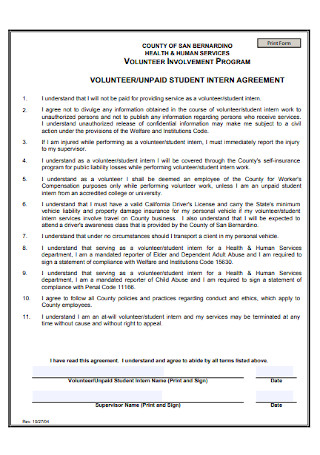 Volunteer Internship Agreement
