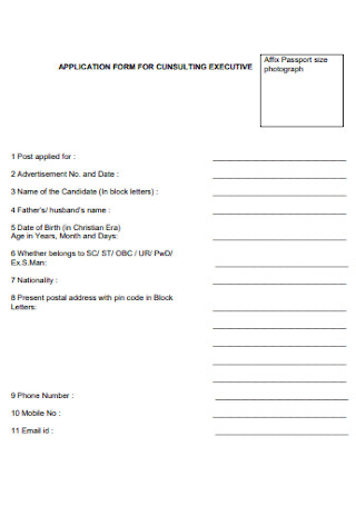 Application Form for Consulting Excutive